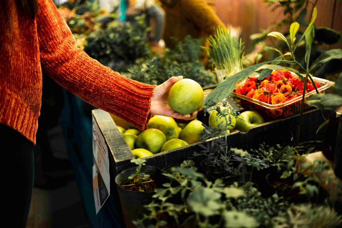 produits régionaux marché